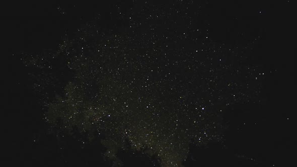 Time lapse of a starry night sky surrounded by dark forest