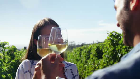 Happy couple toasting wine in vineyard 4k