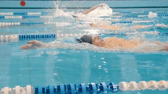 Professional Swimming Competition in the Pool