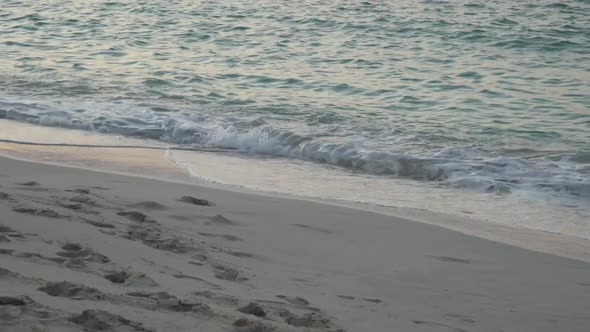 Sandy Beach and Sea