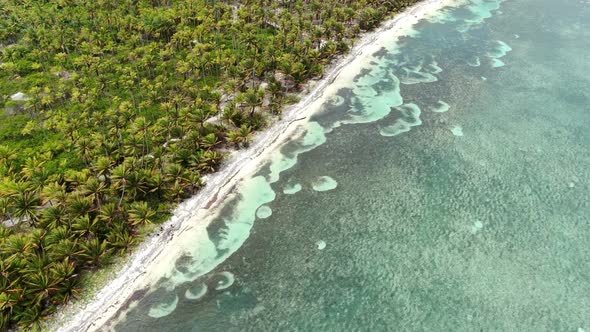 Caribbean White Unspoiled Sandy Beach