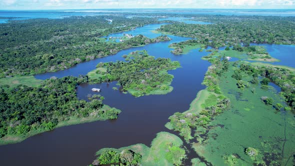 Stunning landscape of Amazon Forest at Amazonas State Brazil.