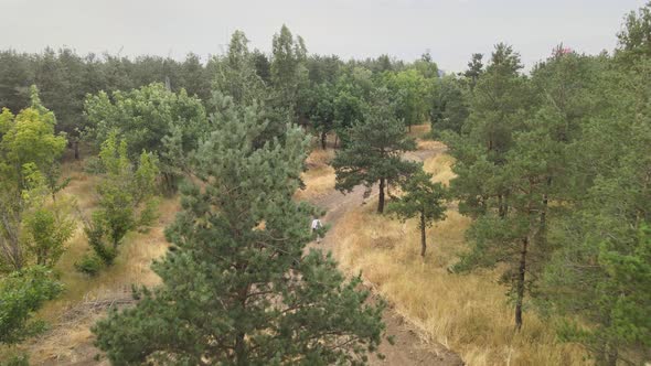 alone man walking forest