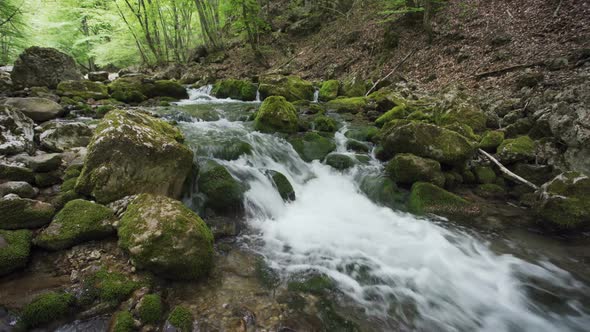 Stones and Rocks Covered By Moss Along Water Stream Flowing Through Green Summer Forest