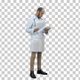 Male doctor checking medical documents, Alpha Channel - VideoHive Item for Sale