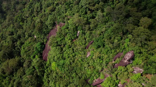 Tropical forest jungle landscape on mountain side with some rocks exposed in Ko Samui, Thailand