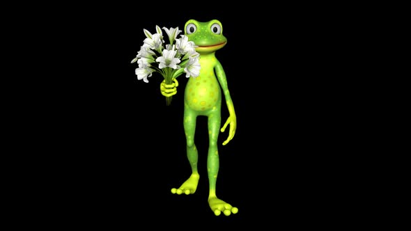 Frog Shows Flowers Looped Alpha Channel