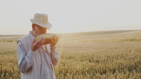 Senior Man Caresses Loaf of Bread and Sniffs It Then Looks with Gratitude at Sky