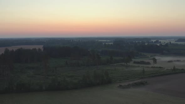 Aerial View of Forest