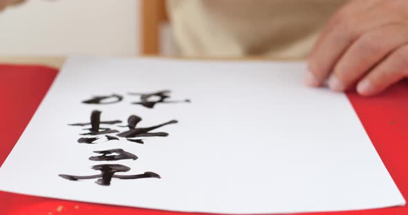 Writing Chinese Calligraphy