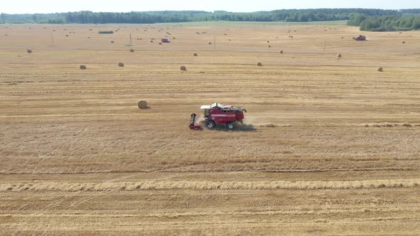 Farmer On Combine Harvest Ripe Wheat Grain In Agricultural Field Aerial View