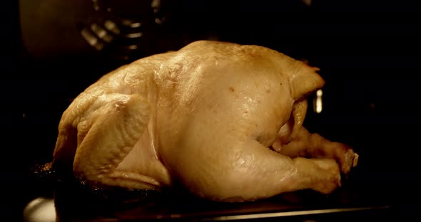 Timelapse Whole Chicken Baked in Oven.