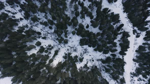 Aerial view of mountain landscape, Italian Alps, Italy.