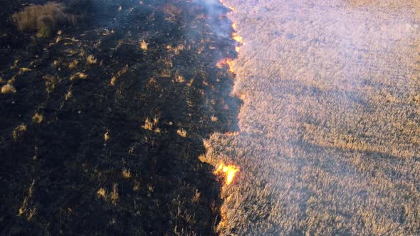 Aerial Drone View Two Firefighters Putting Out Fire in Field with Dry Grass