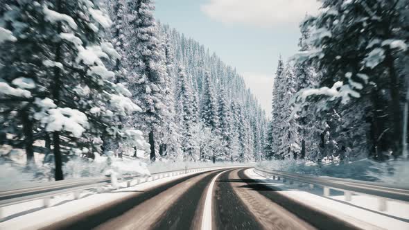 Driving Through A Beautiful Snowy Winter Wonderland