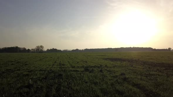 Aerial Cinematic Clip Drone Flying Over a Farm Field During Sunset