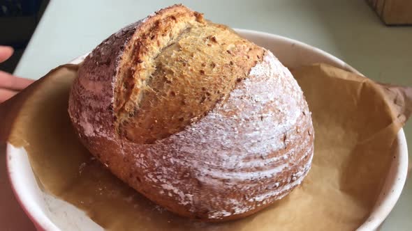 Freshly baked sourdough bread in baking dish rotation