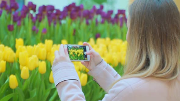 Woman Taking Photo on Flower in Flower Market