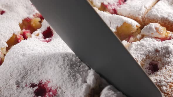 Cherry cake cutting on smaller pieces 4K2160p UHD footage - Cherry sponge cake powdered with sugar c