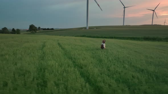 Young girl walking in a field with windmills