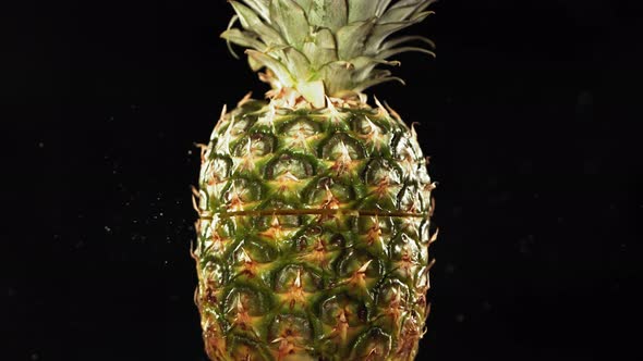 Fresh Pineapple Fruit Squirting and Burst with Juice in Slow Motion in Black Background