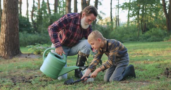 Granddad Together with His Small Grandson Watering Young Tree in the Ground