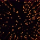 Glowing Abstract Dots - VideoHive Item for Sale