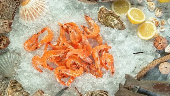 Super Slow Motion Shot of Falling Fresh Prawns Into Crushed Ice at 1000 Fps.