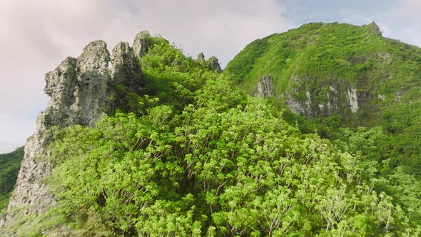 Drone Flying Low Above Untouched Pure Nature of Hawaiian Rainforest Jungles