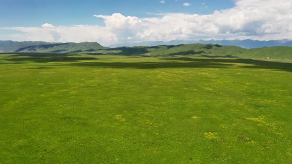 Nalati grassland with the blue sky