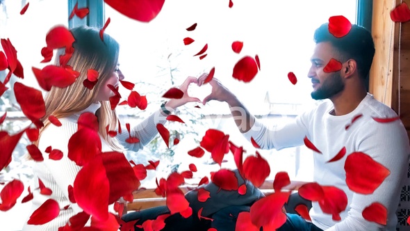 Petals rose falling transition alt