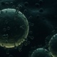 Virus Video - VideoHive Item for Sale