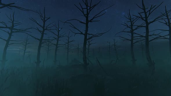 Haunted Forest alt