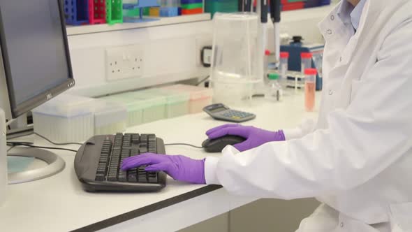 Female scientist typing on keyboard and looking at screen in laboratory