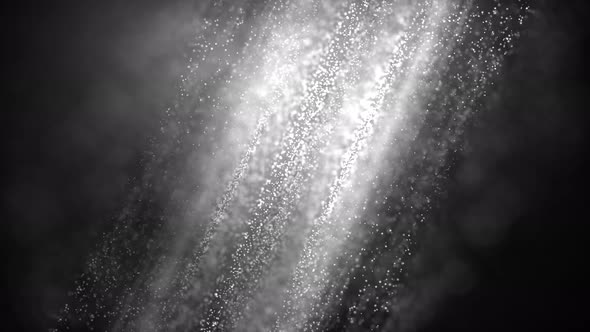 White Particular Loop alt