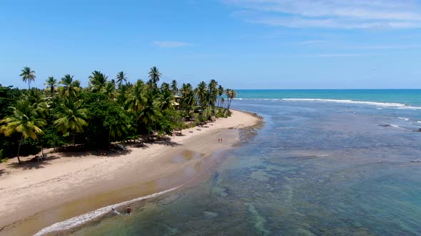 Aerial View of Tropical White Sand Beach, Palm Trees and Turquoise Clear Sea Water in Praia Do Forte