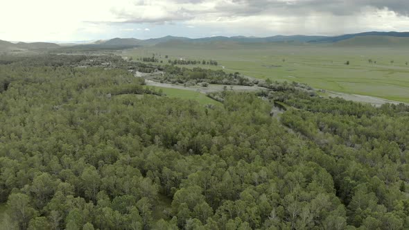 Trees, Forest and Vast Meadow in The Big River in Wide Valley of Asia Geography