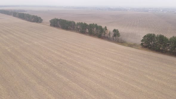 Land in a Plowed Field in Autumn