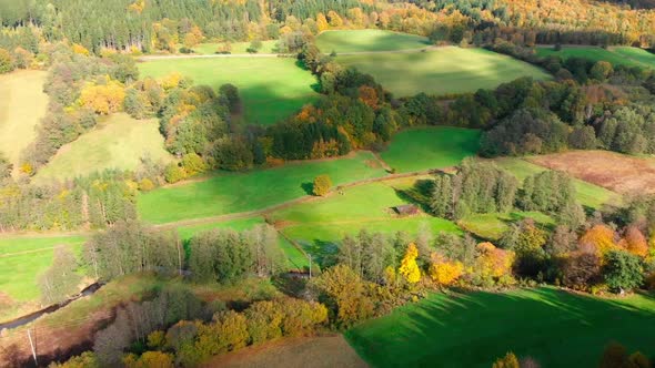 Aerial Drone View Of Autumn Foliage Forest