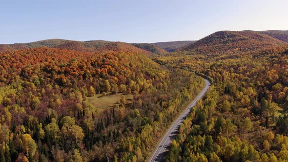 Picturesque autumn highway