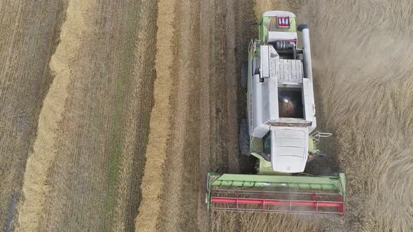 Countryside and Agriculture Flight Over the Field Combine Harvester Removes Oats View From Height