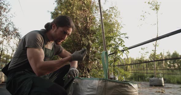 Man Inspecting Leaves of Plant on Farm