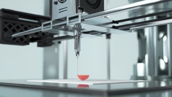 Innovative Mechanism Of Medical Machine Prints Replica Of Human Kidney alt