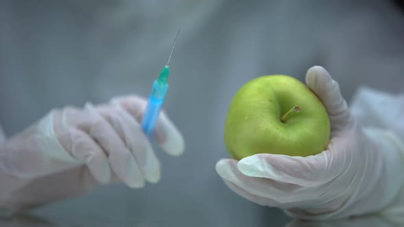 Lab Researcher Injecting Liquid in Apple, Gmo Food Production, Experiment