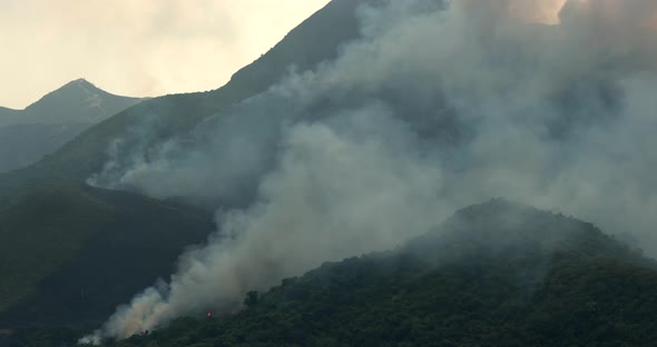 Fire Disaster on Mountain