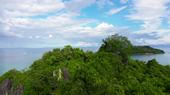 Tropical Island with Trees and Rocks.