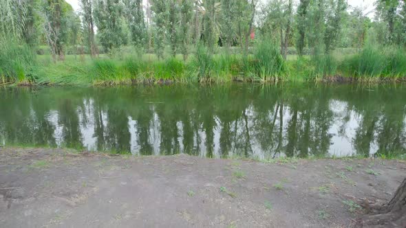 Pull-front from land to lake in middle of trees in natural area in Mexico City, with reflection of v