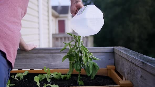 water poured onto plant outside