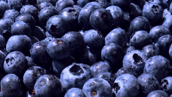 Fresh Blueberries Background Falling in Slow Motion