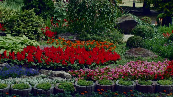 Beautiful Flower Bed of Different Flowers in the City Park